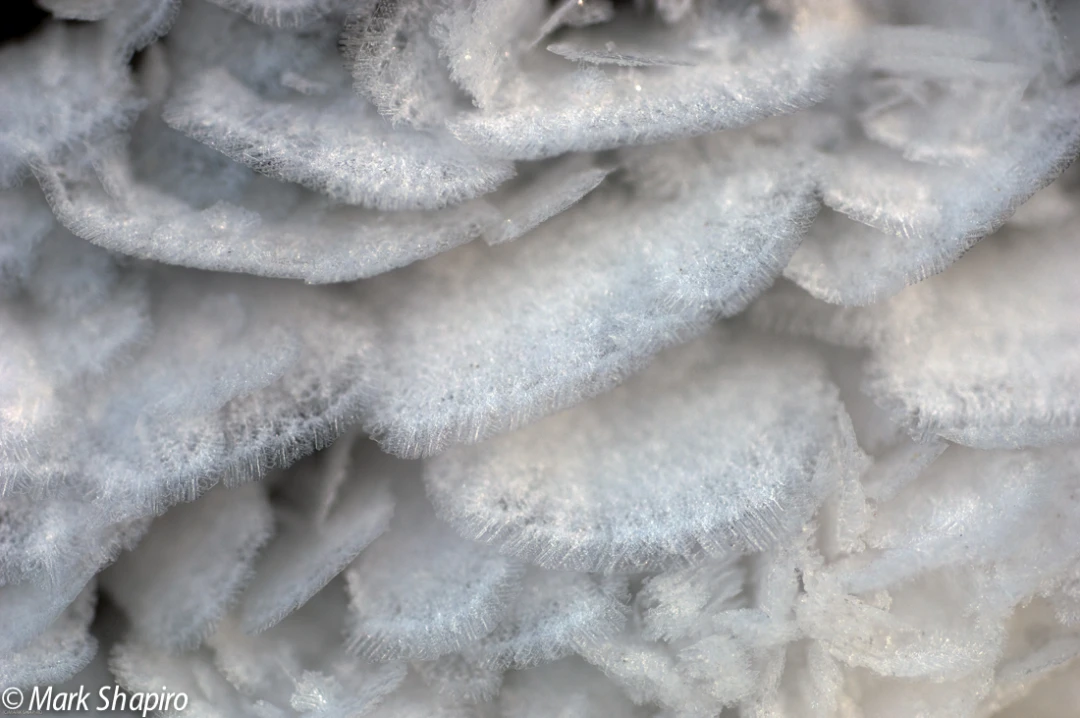 Elements-Ground Frost-32