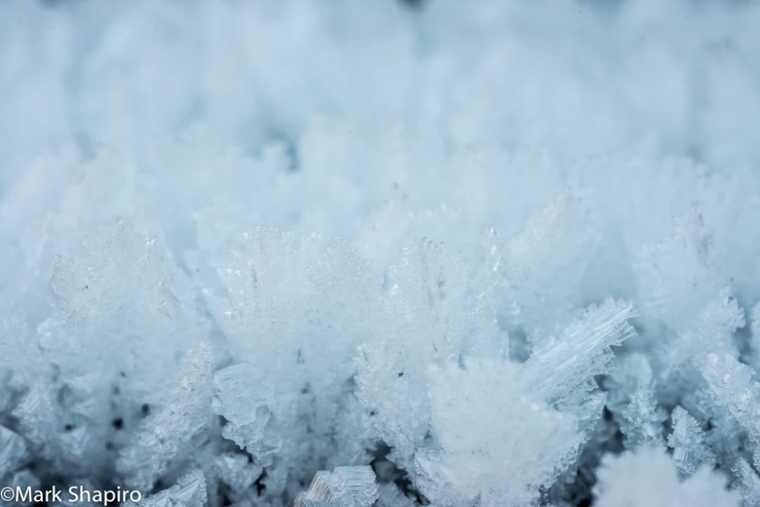 Elements-Ground Frost-327
