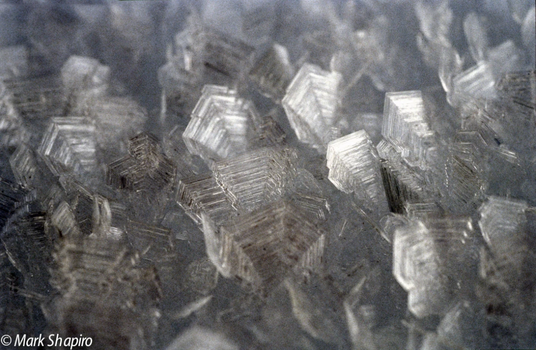 Elements-Ground Frost-33