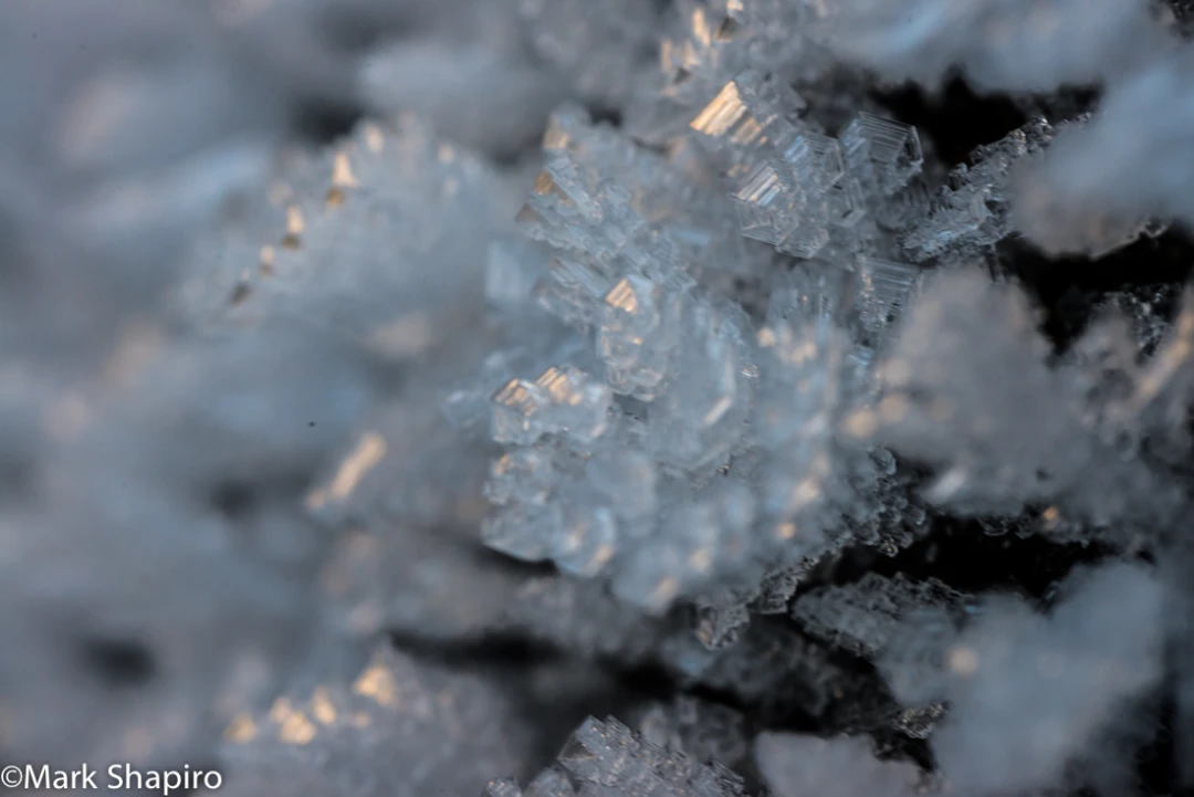 Elements-Ground Frost-350