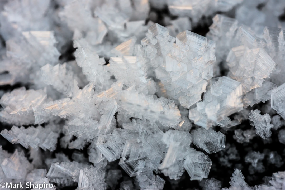 Elements-Ground Frost-351