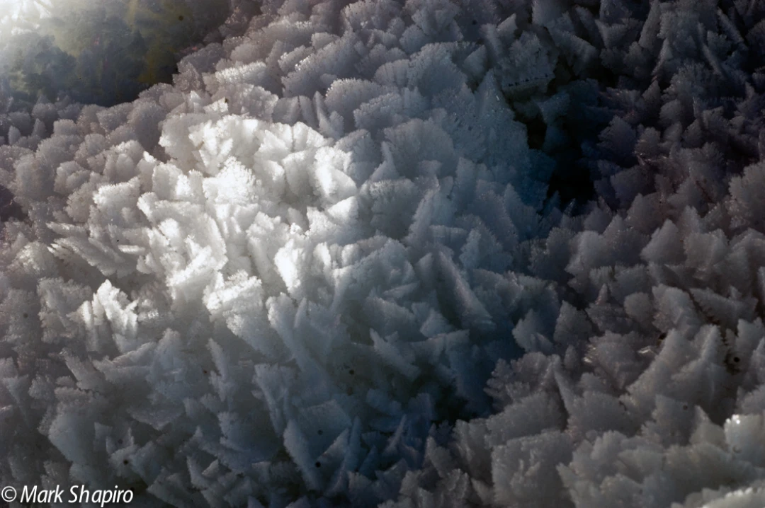 Elements-Ground Frost-35