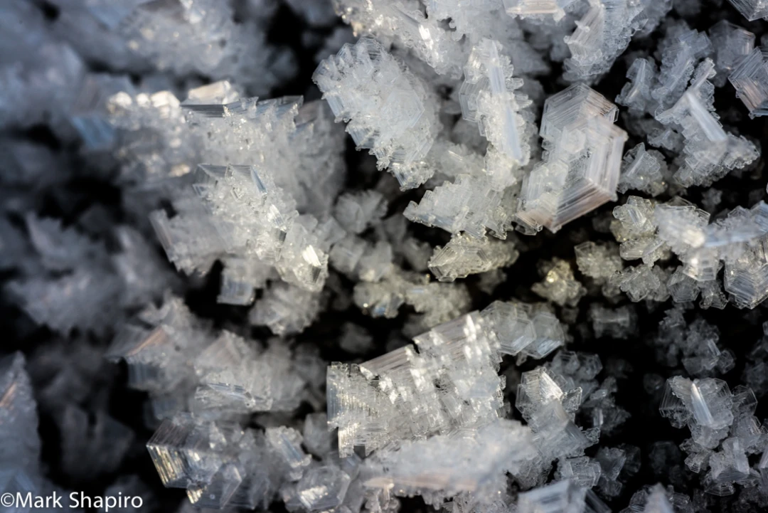 Elements-Ground Frost-352