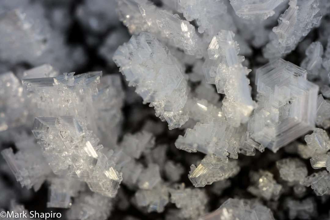Elements-Ground Frost-353
