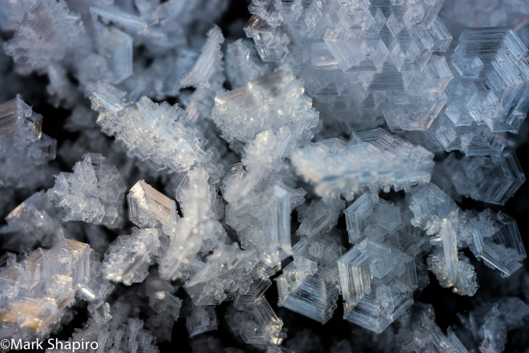 Elements-Ground Frost-354