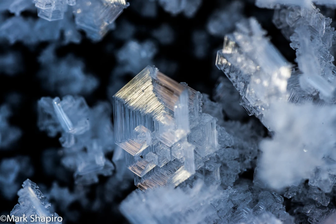 Elements-Ground Frost-355