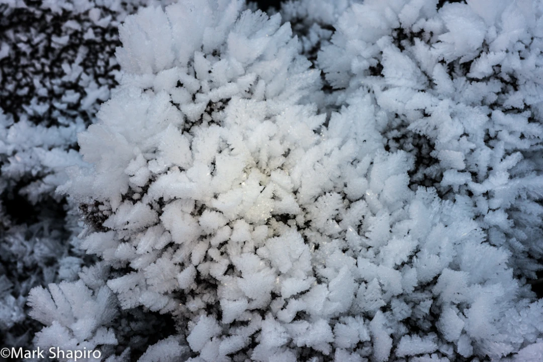 Elements-Ground Frost-359