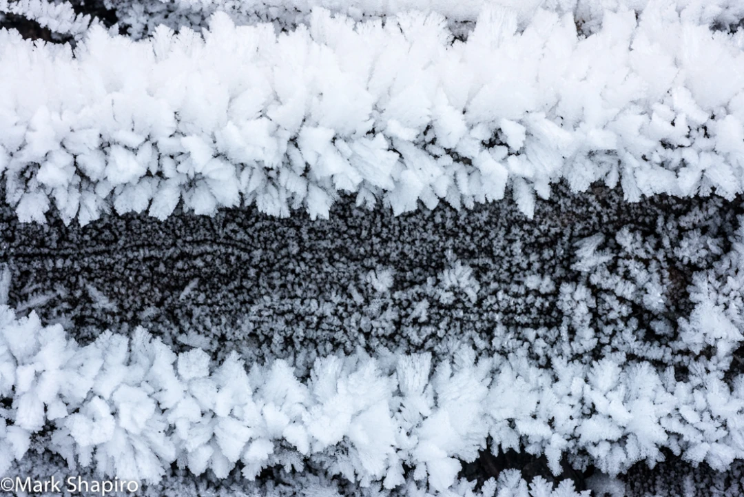 Elements-Ground Frost-371