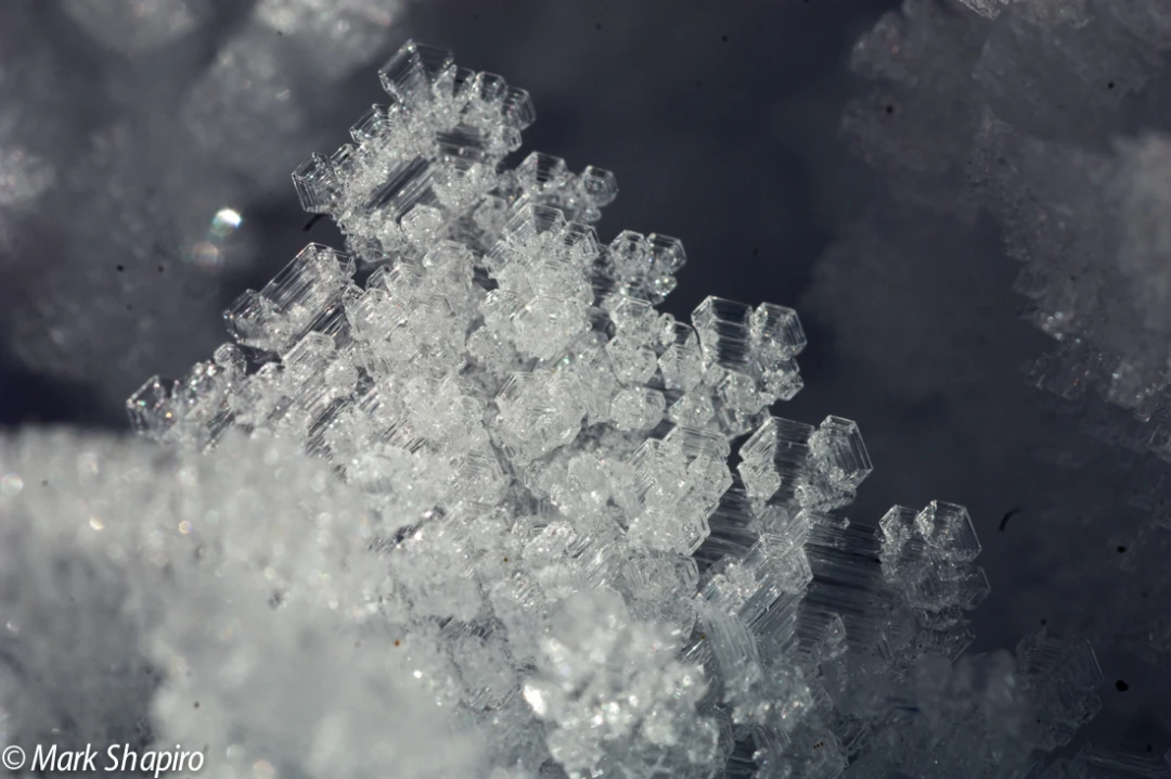 Elements-Ground Frost-38