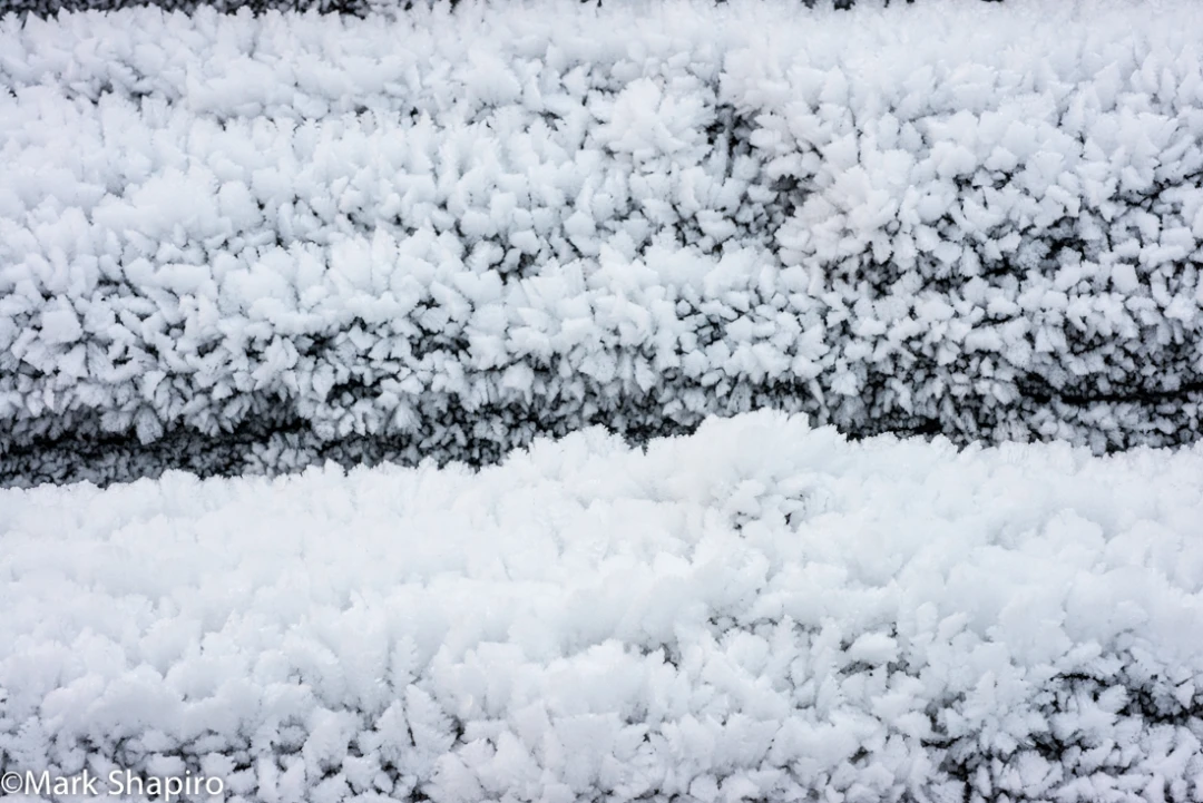 Elements-Ground Frost-387