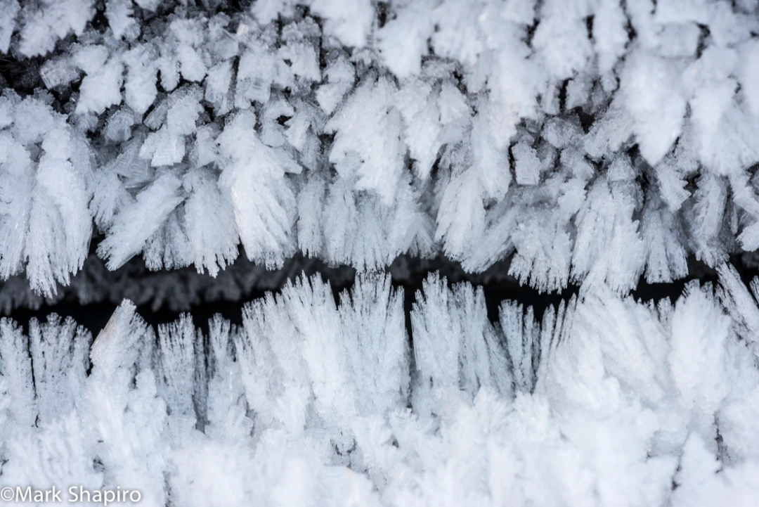 Elements-Ground Frost-389