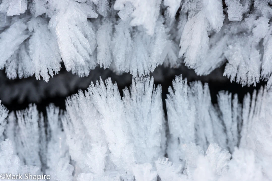 Elements-Ground Frost-390