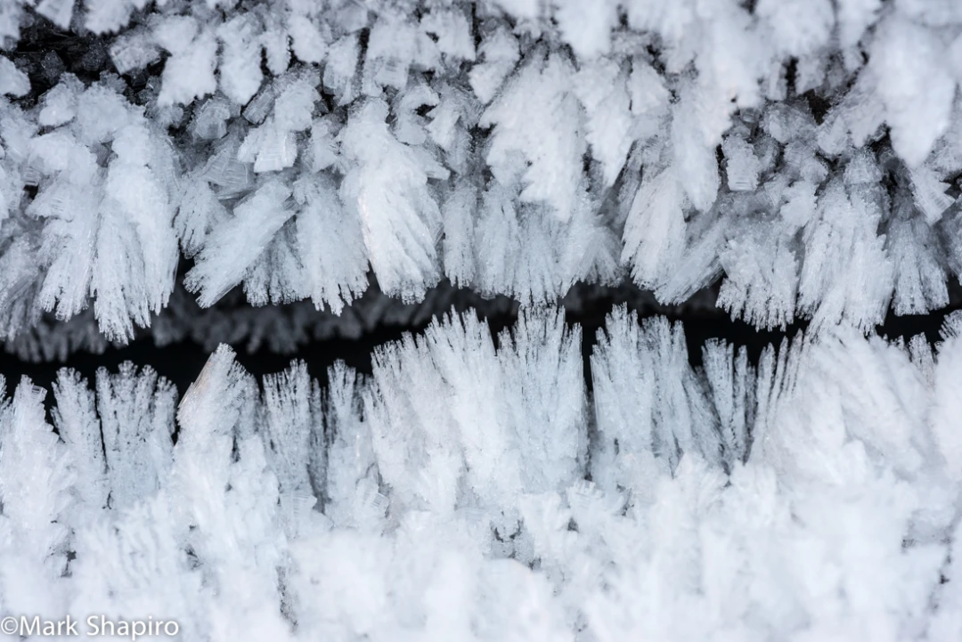 Elements-Ground Frost-391