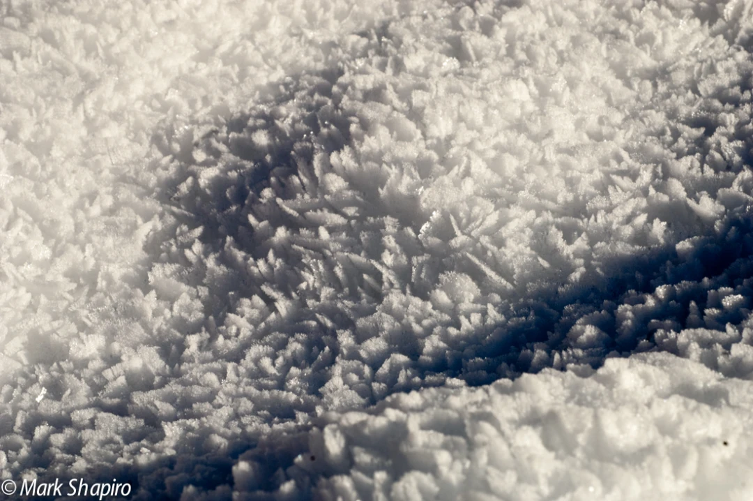 Elements-Ground Frost-41