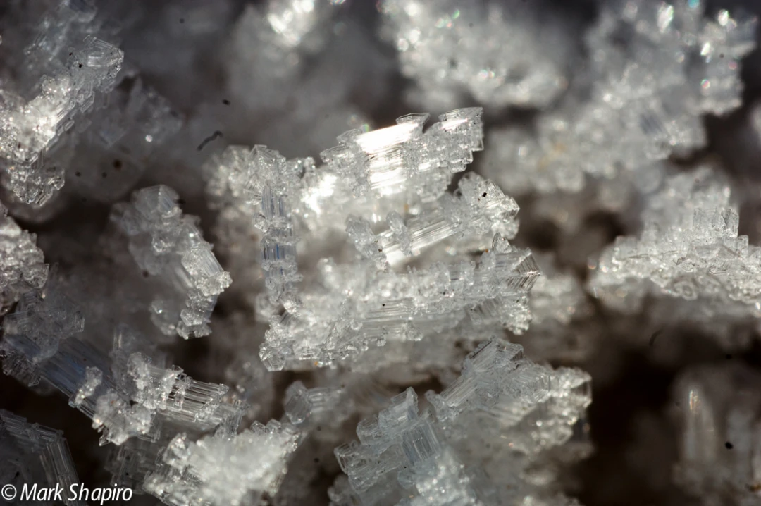 Elements-Ground Frost-4