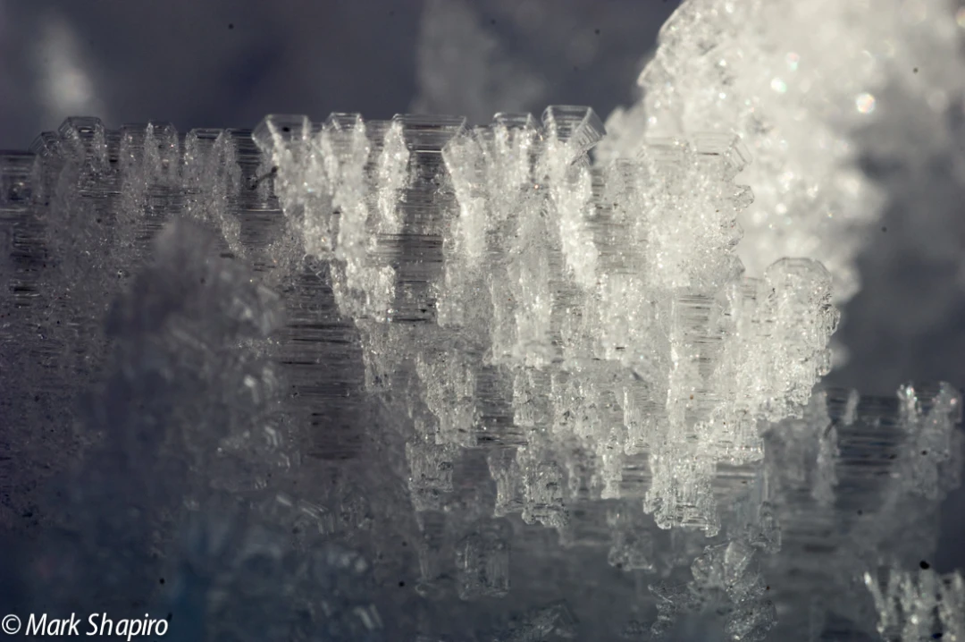 Elements-Ground Frost-42