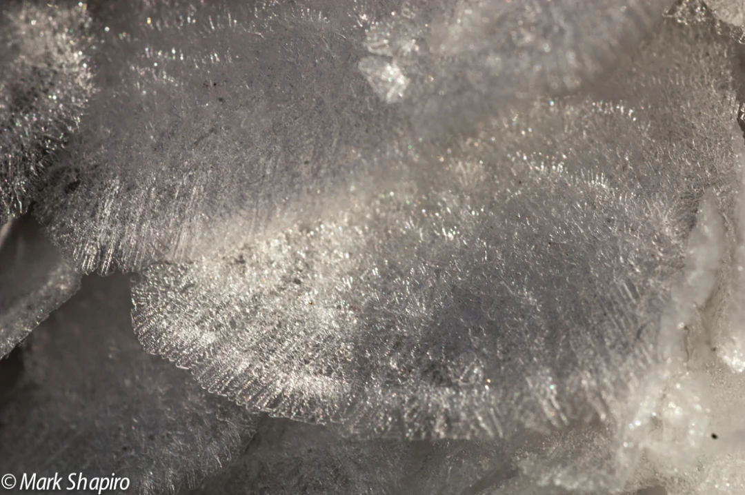 Elements-Ground Frost-44