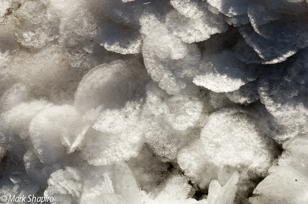 Elements-Ground Frost-49