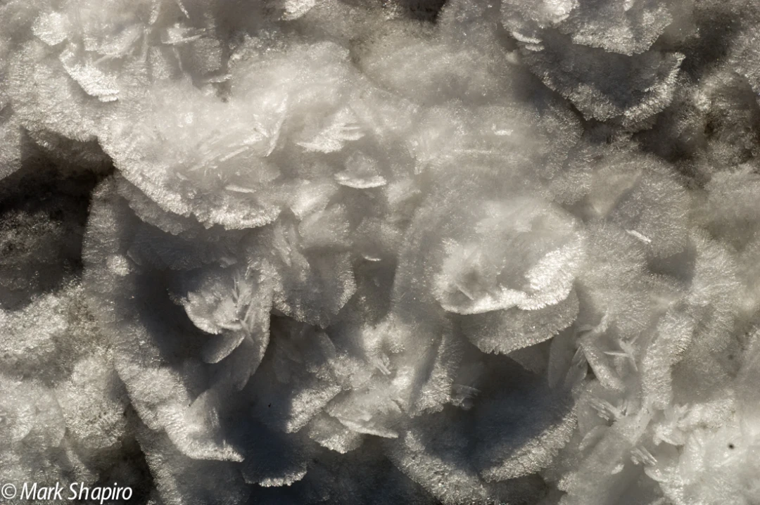 Elements-Ground Frost-50