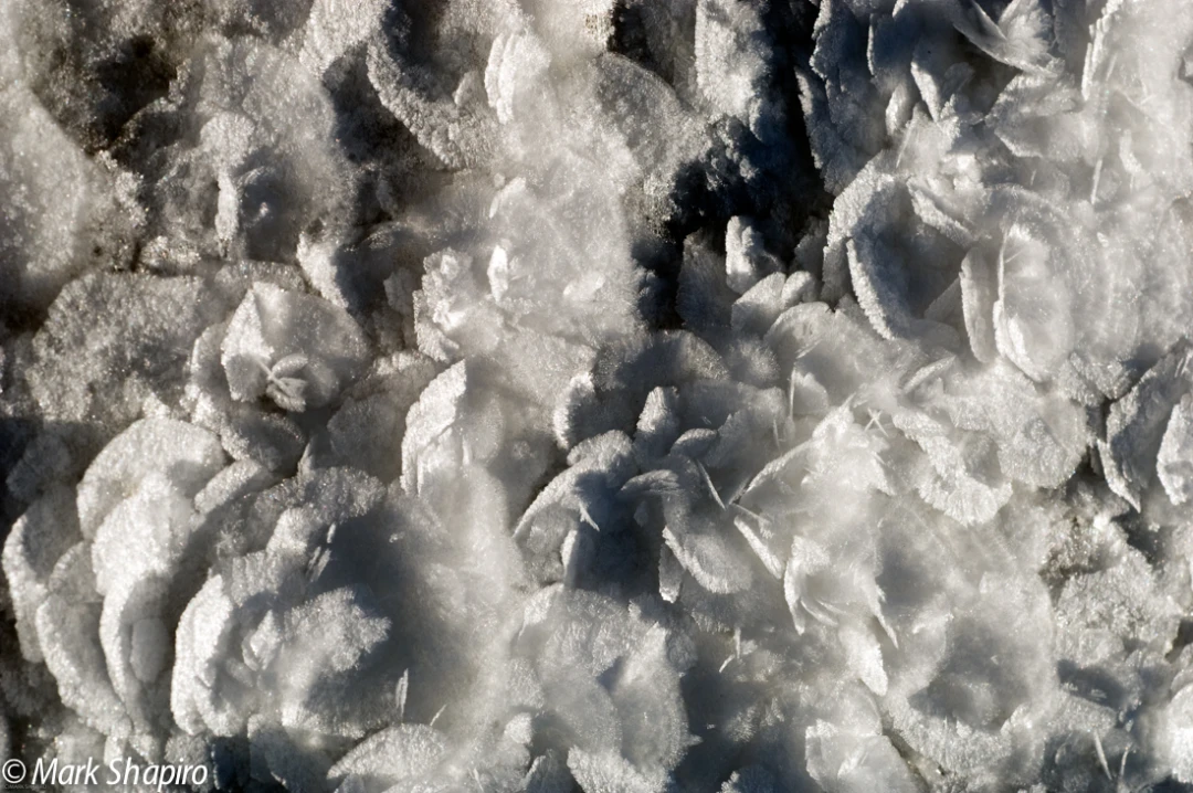 Elements-Ground Frost-51