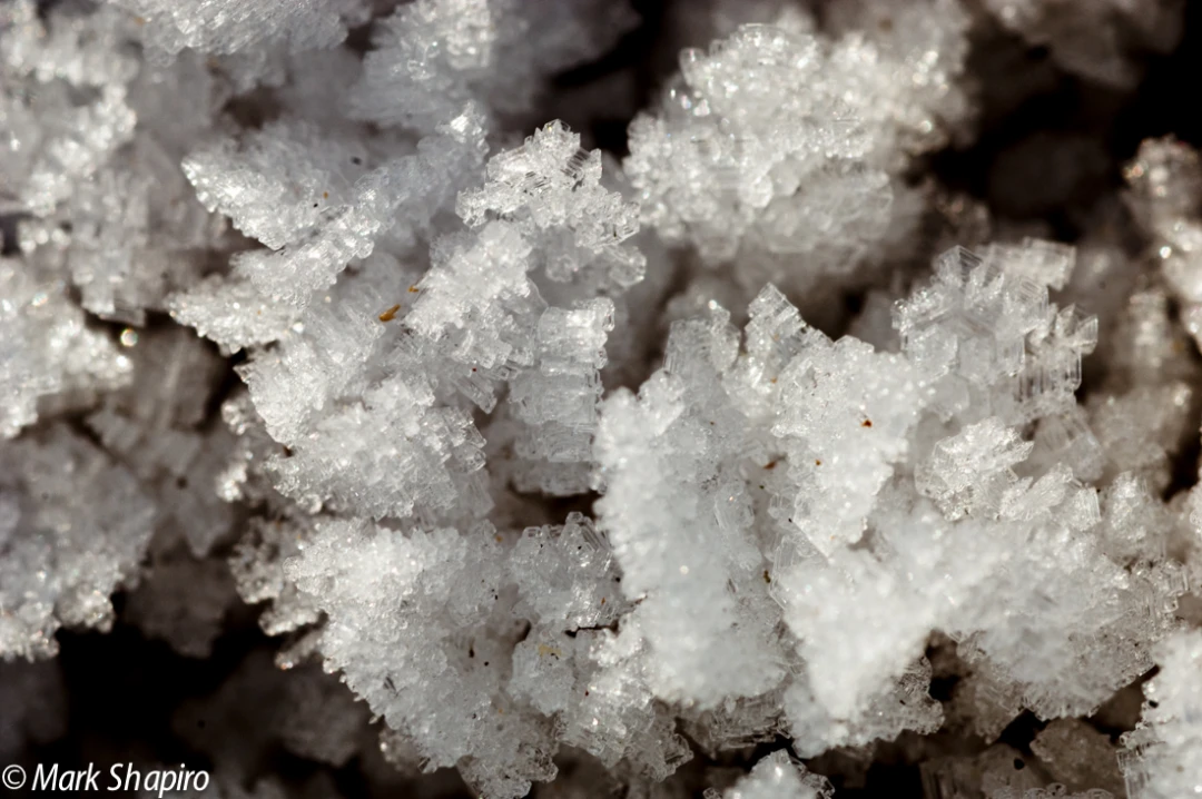 Elements-Ground Frost-5