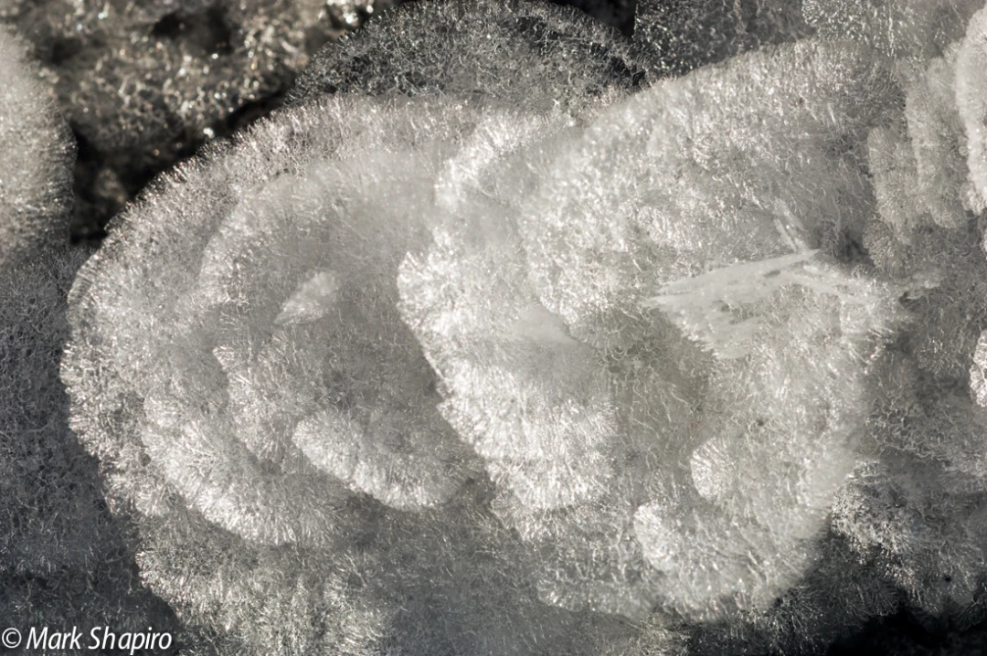 Elements-Ground Frost-52