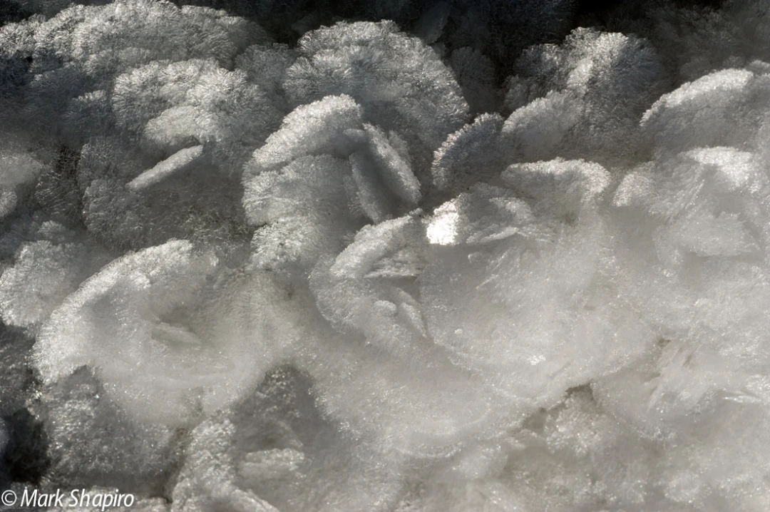 Elements-Ground Frost-57