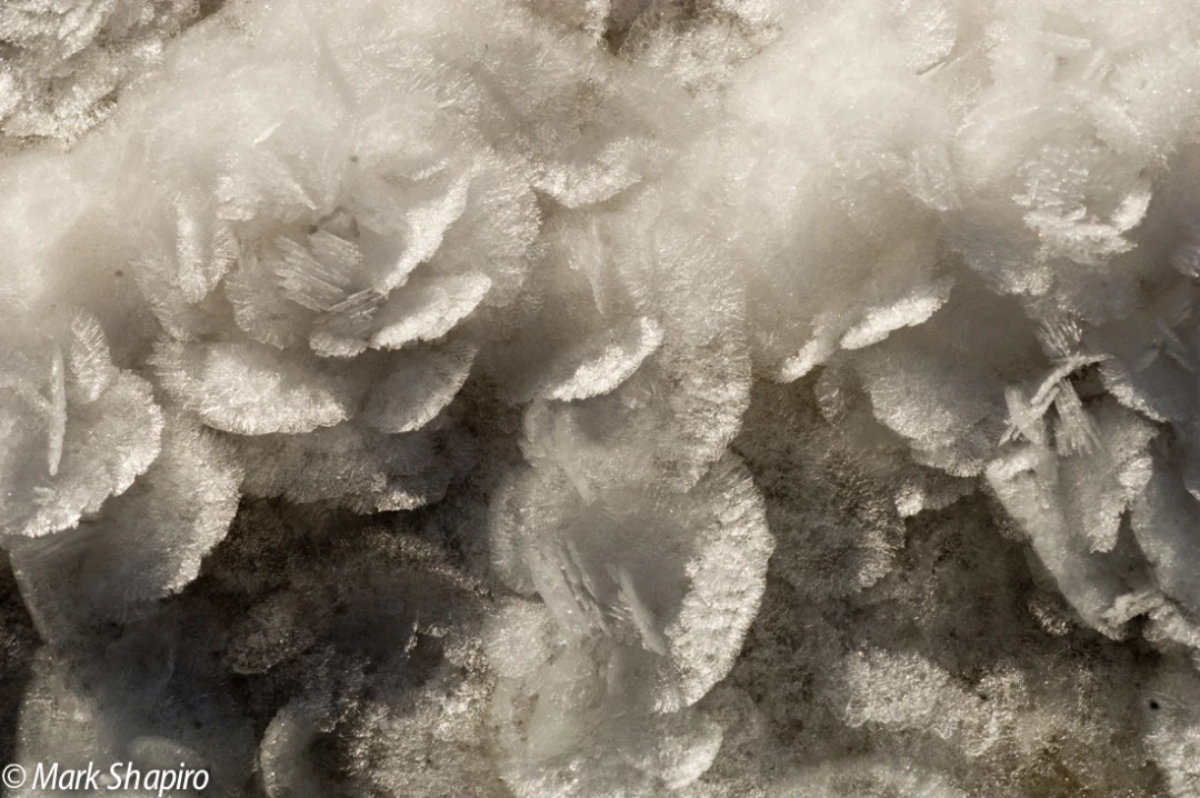 Elements-Ground Frost-59