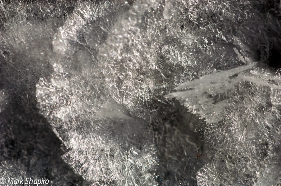 Elements-Ground Frost-60