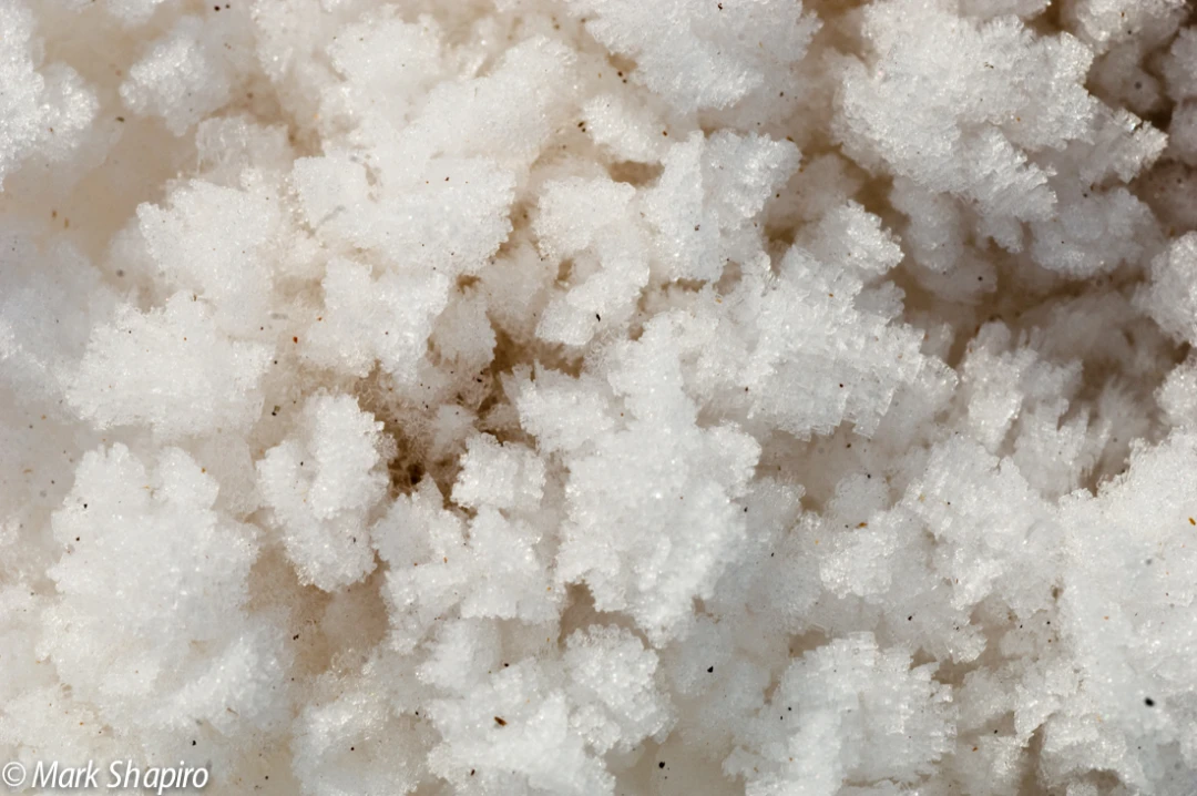 Elements-Ground Frost-6