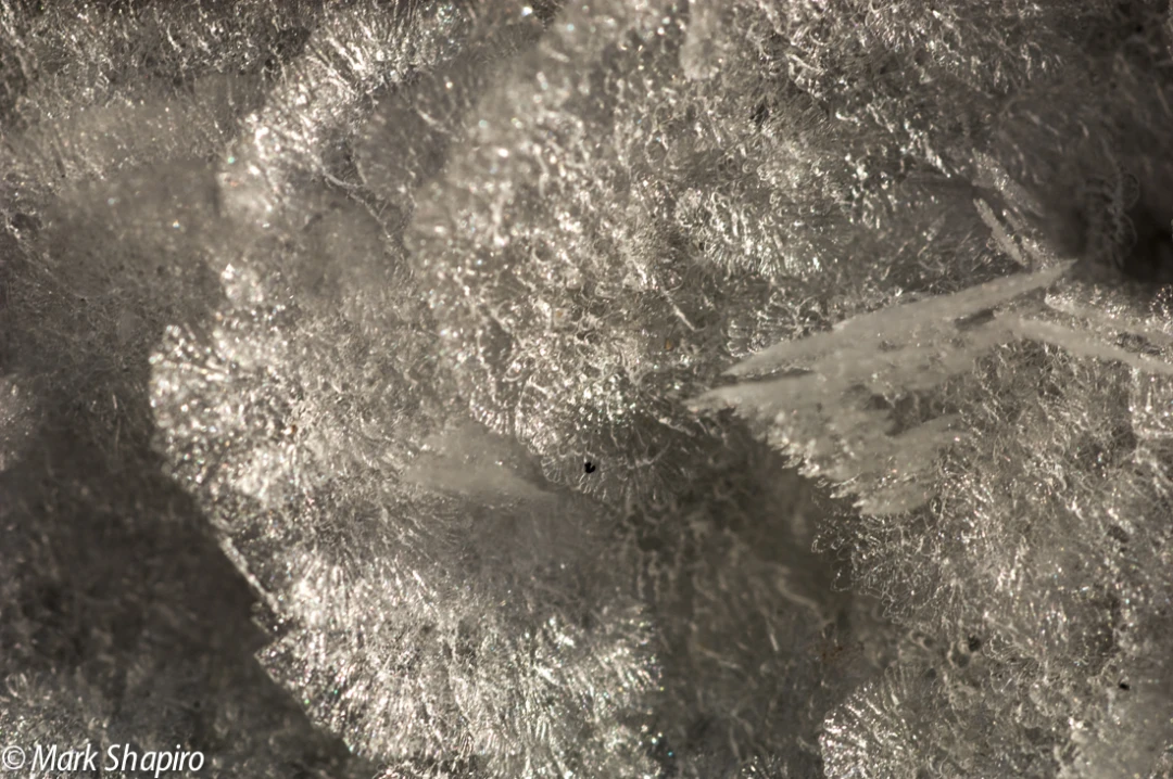 Elements-Ground Frost-62