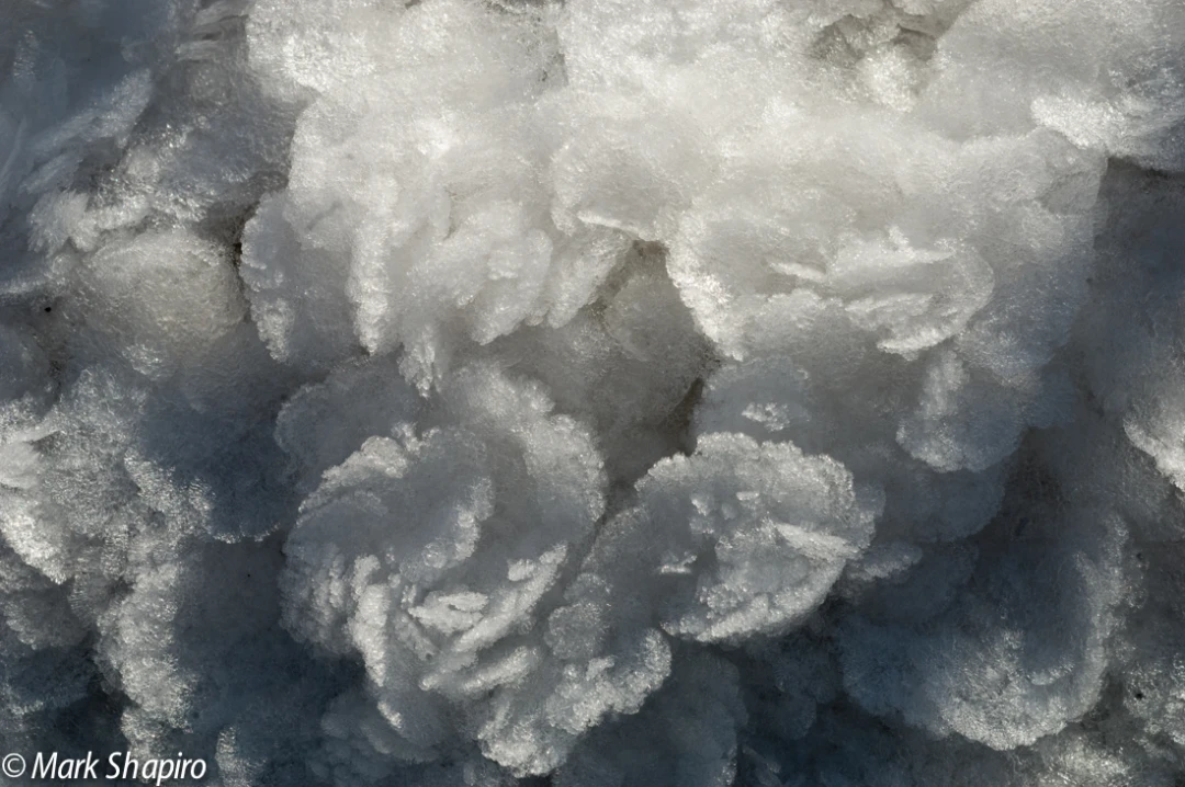 Elements-Ground Frost-63