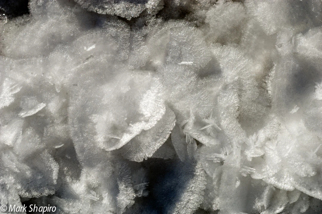 Elements-Ground Frost-70