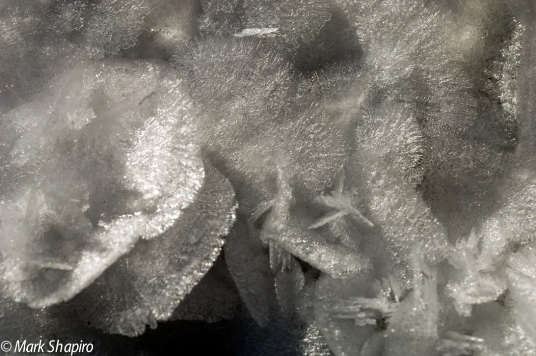 Elements-Ground Frost-71