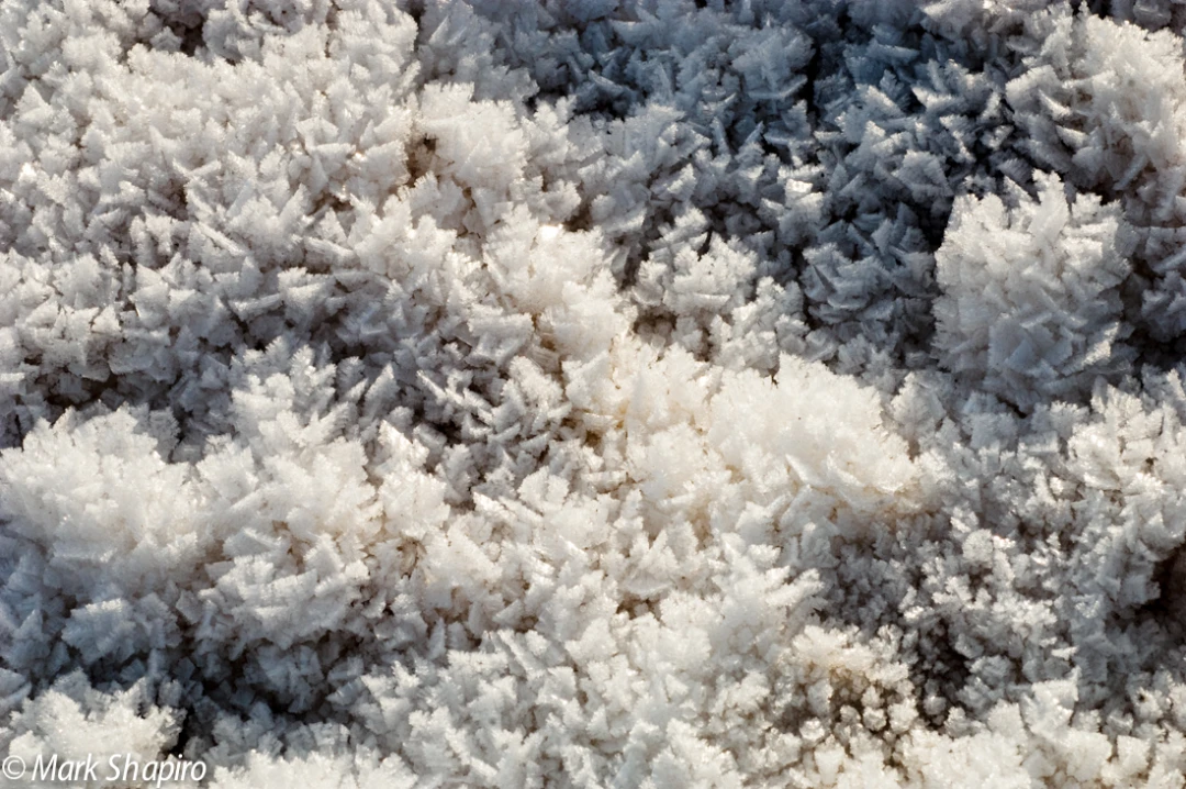 Elements-Ground Frost-7