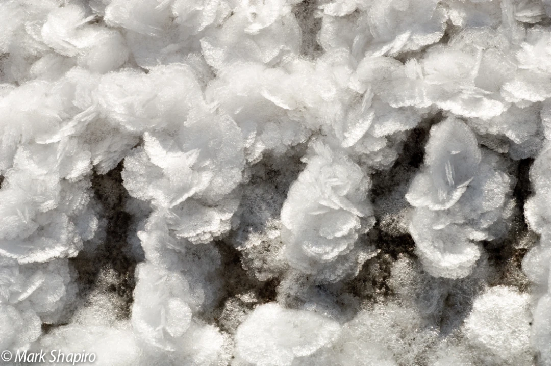 Elements-Ground Frost-73