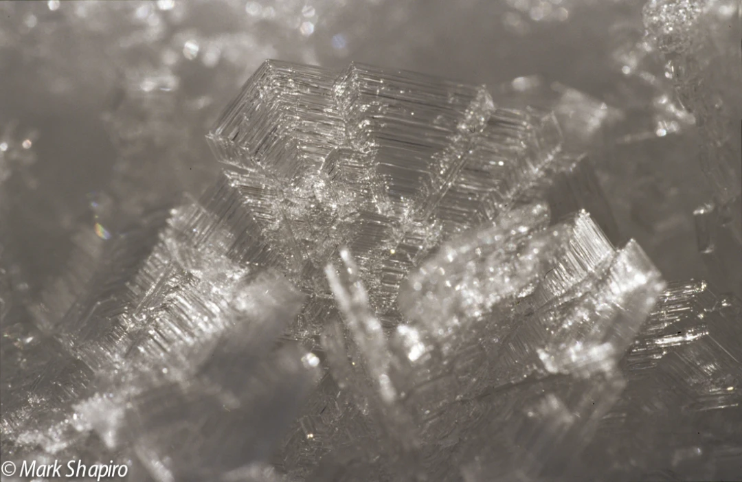 Elements-Ground Frost-77