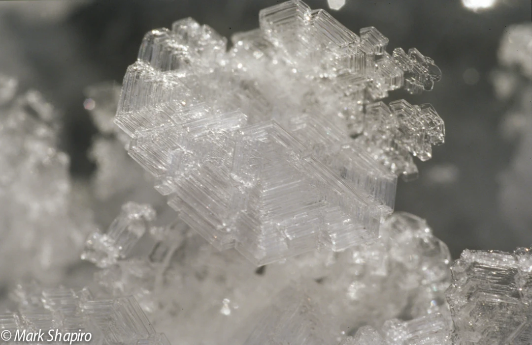 Elements-Ground Frost-79