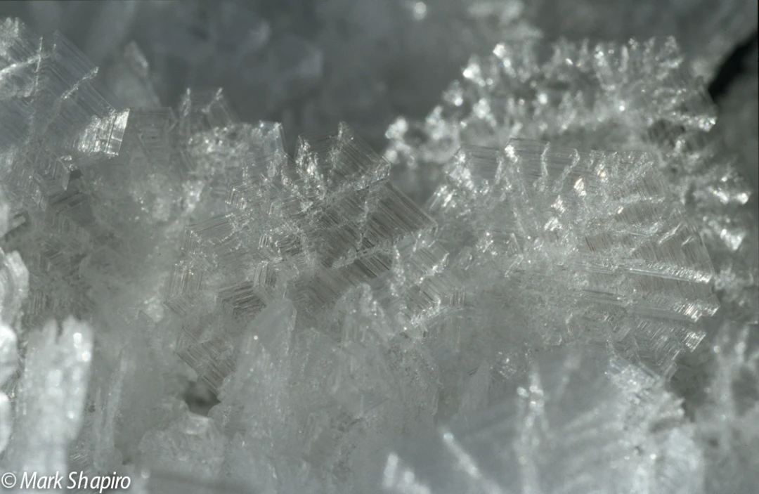 Elements-Ground Frost-81