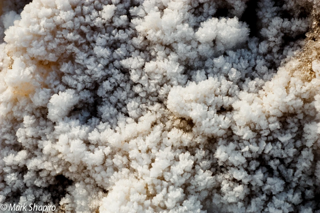 Elements-Ground Frost-8