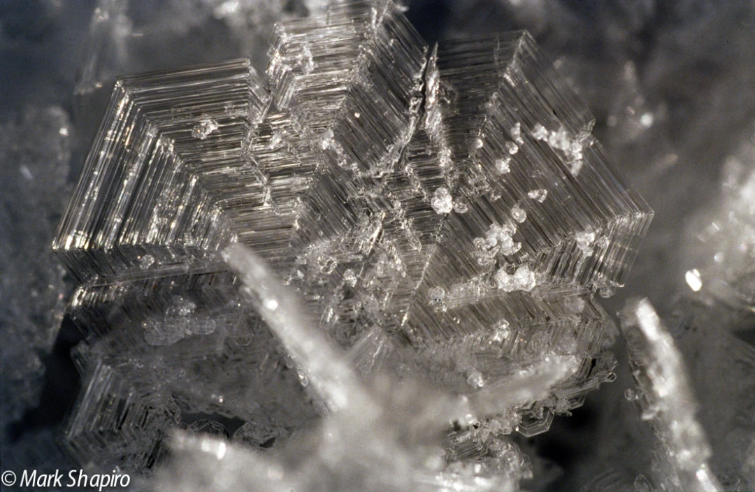 Elements-Ground Frost-85