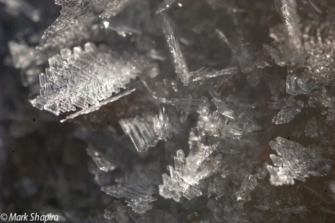 Elements-Ground Frost-94
