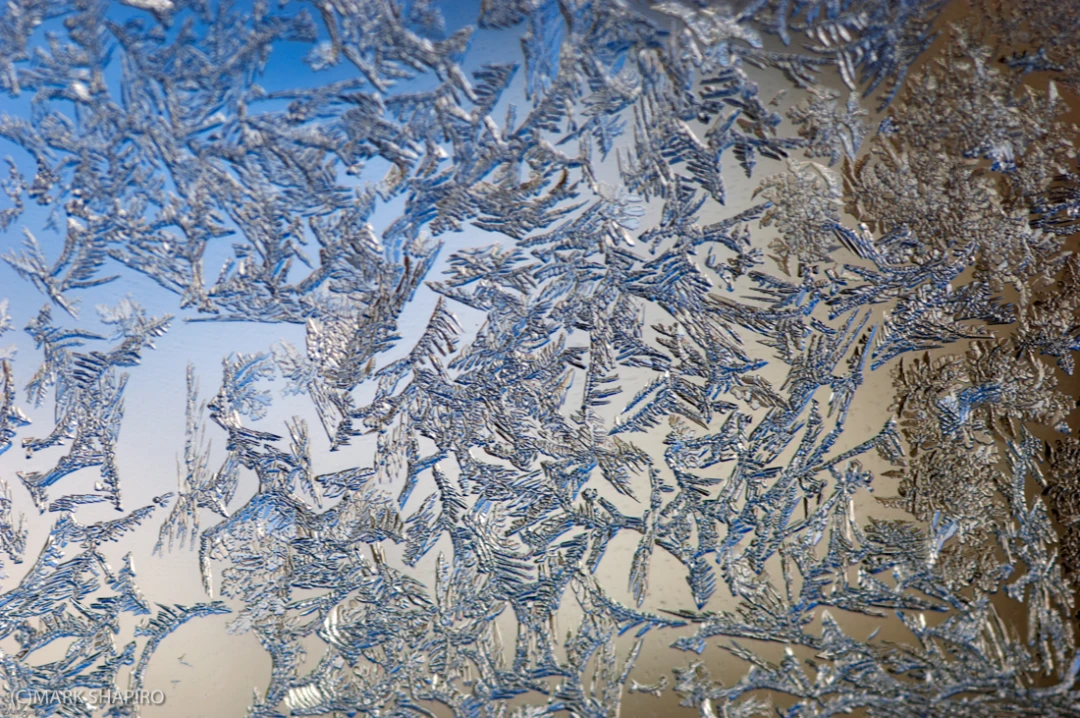 Elements-Window Frost-10