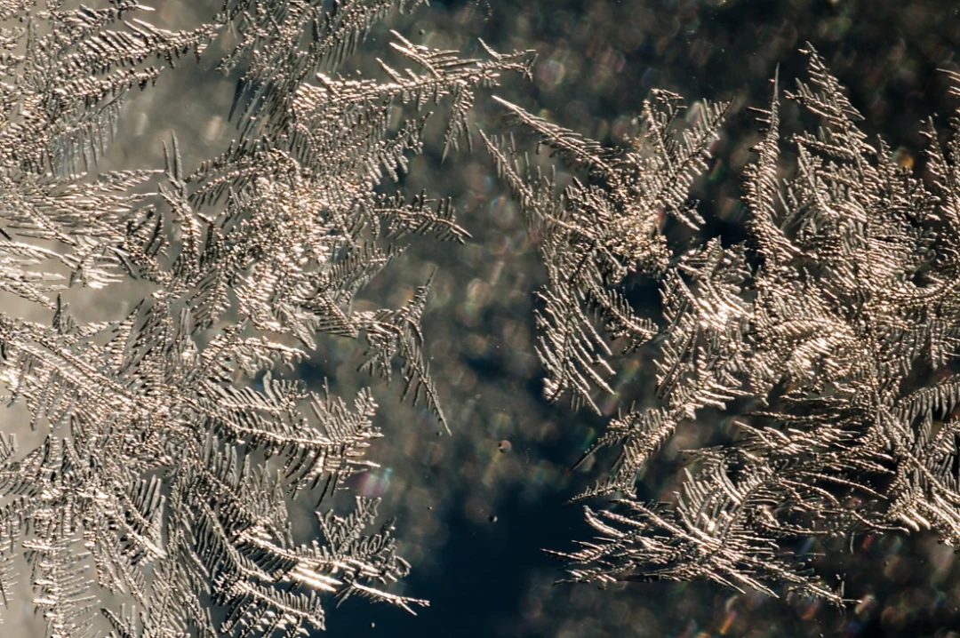 Elements-Window Frost-110
