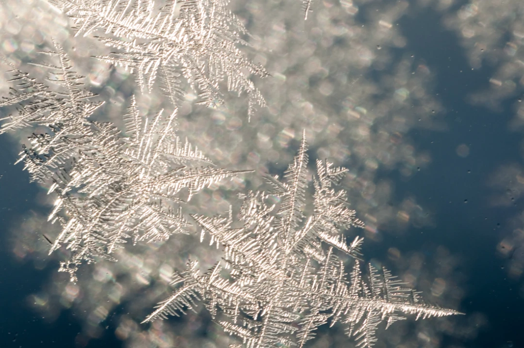 Elements-Window Frost-113