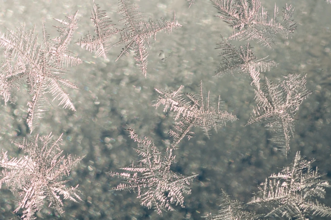 Elements-Window Frost-116