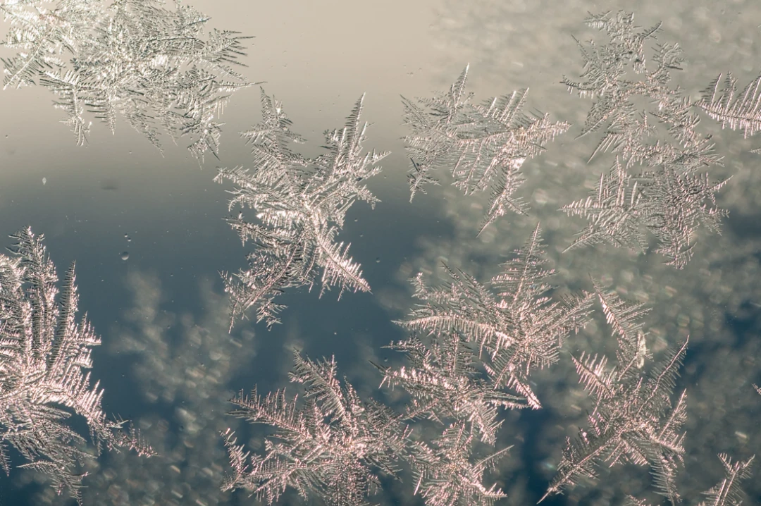 Elements-Window Frost-119