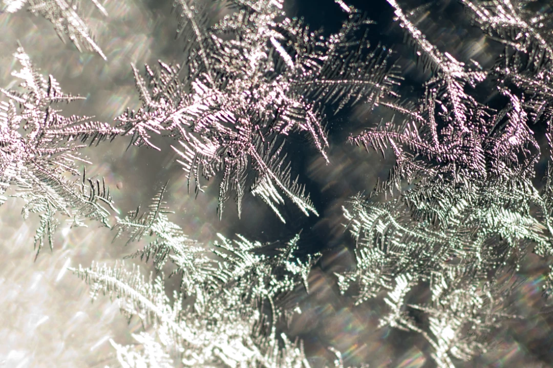 Elements-Window Frost-121