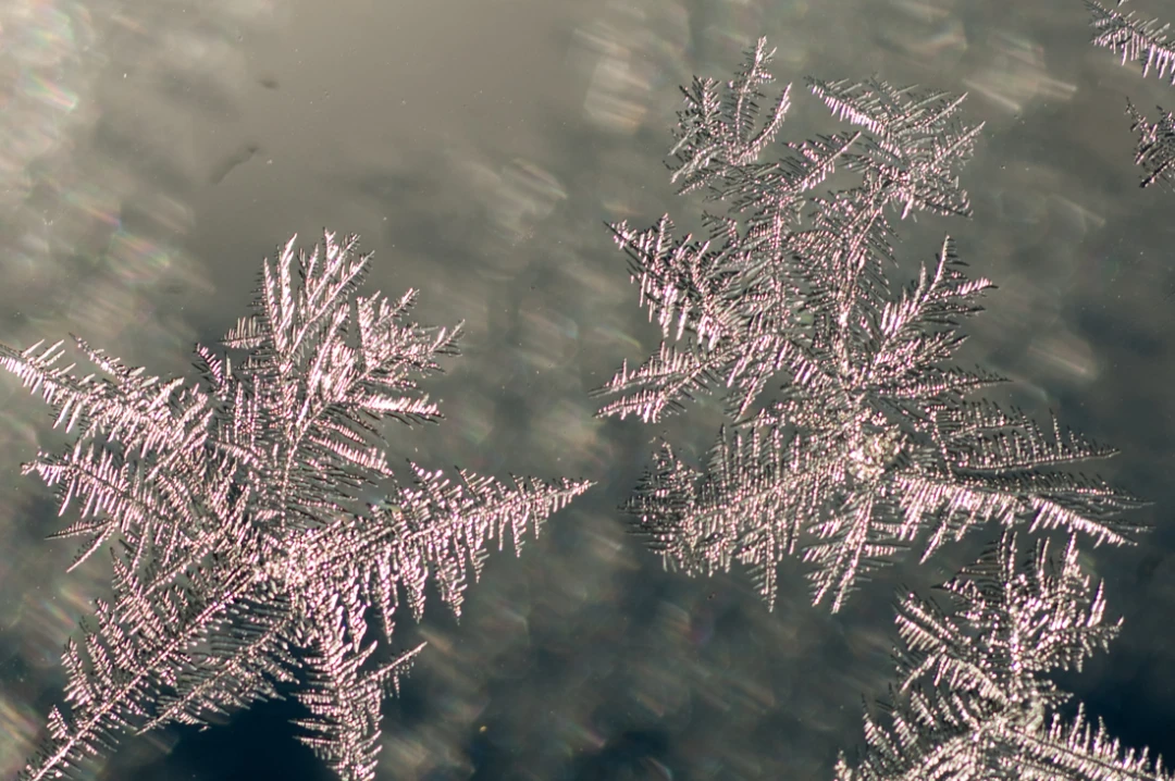 Elements-Window Frost-125