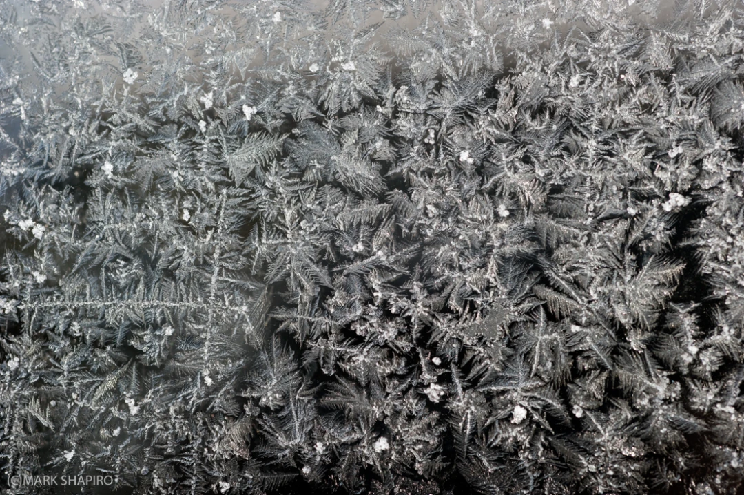 Elements-Window Frost-143